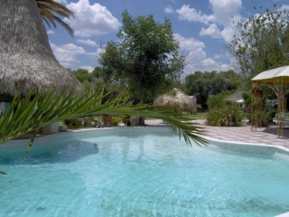  Pool and palapa 